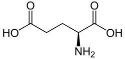 Structuurformule van L-glutaminezuur