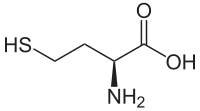 Structuurformule van L-homocysteïne
