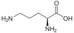 Structuurformule van L-(+)-ornithine