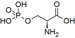 Structuurformule van fosfoserine