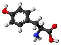 ▵ Molecuulmodel van L-tyrosine