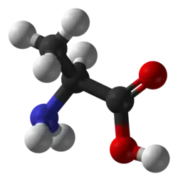Molecuulmodel van L-alanine