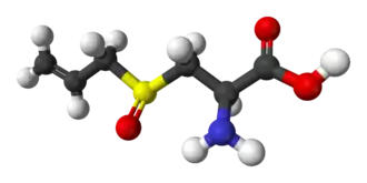 Molecuulmodel van L-alliine