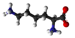 ▵ Molecuulmodel van L-lysine