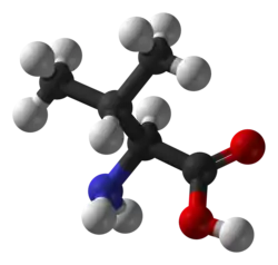 ▵ Molecuulmodel van L-valine