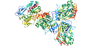 Lecithine-cholesterol-acyltransferase