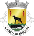 Vlag van Calheta&nbsp;de&nbsp;Nesquim