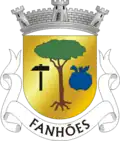 Vlag van Fanhões