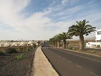 De LZ-14 met palmbomen in de middenberm