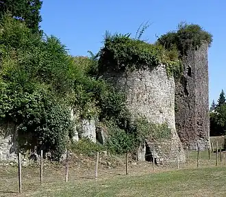 Ruïne van het Kasteel van La Chèze