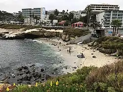 Het strand van La Jolla Cove is klein en omgeven door kliffen; bij laag tij komen getijdenpoelen tevoorschijn, terwijl bij hoog tij de zandstrook grotendeels onder water verdwijnt.
