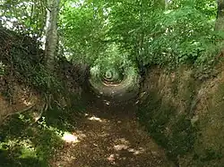 Holle weg in La Meauffe (Fr)