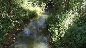 De Vire bij Saint-Rémy