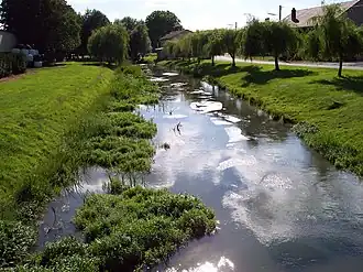 De Wiseppe in het gelijknamige dorp