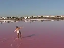 Salina van Torrevieja