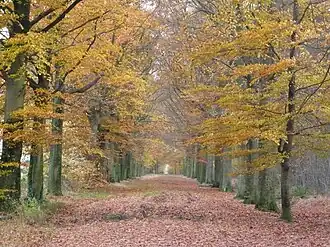 Plantagebaan, ten zuiden van Wouwse Plantage