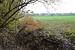 Laarbeekbos met veld en spoorweg in de verte