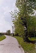 Boomkapelletje aan lindeboom