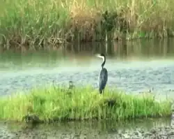 Het meer van Tissongo