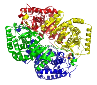 Lintdiagram van lactaatdehydrogenase M4 (LDH5)