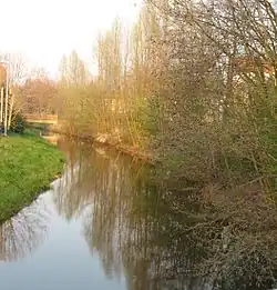 De molenbeek (Mühlenbach) van Ladbergen