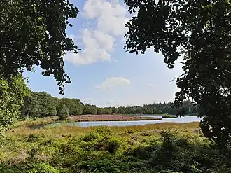 Het Pluismeer in 2021