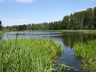 Het Vasula järv