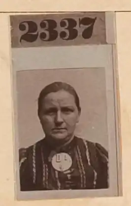 Lammertje Zondag, 1903