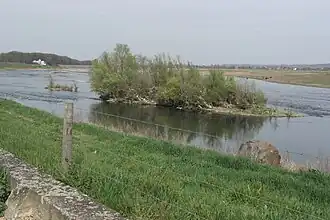 Uiterwaarden langs de Limburgse Maas en Vijverbroek