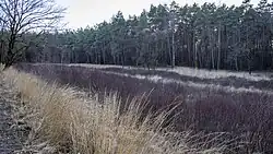 Het oostelijk brongebied