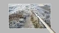 Berkheide. Winterlandschap. Uitzicht vanaf waarnemingspost richting overige duinen en zee