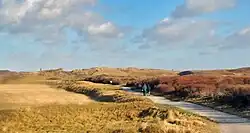 Berkheide. Voormalig akkertje met begrenzingswal