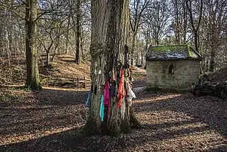 Lapjes- of spijkerboom bij Stambruges - Altijd Ergens 2016