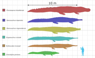 Crocodyliformes