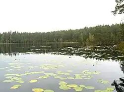 Het Lasa järv, een meer in Holdre