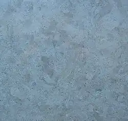 Lasnamagi kalksteen uit Estland