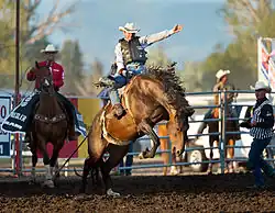 Bronc riding