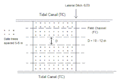 Fig. 4. De veldsloten lopen tussen de zijkanalen