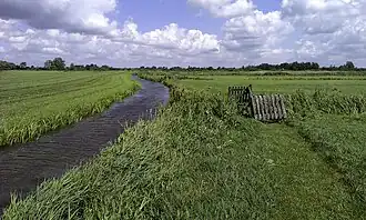 De Lauwers ten noorden van Peebos