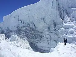 De Northern Ice Field ter hoogte van de Crednergletsjer, januari 2009