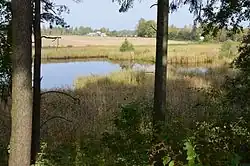 In het natuurgebied Lavatsi järve hoiuala