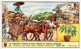 Reclame van Lavazza (rond 1900)