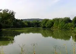 Meertje bij het dorp (2009)