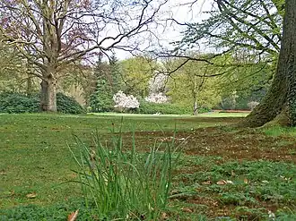 Zicht op het midden van het park