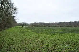 Een volgestorte leemput