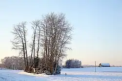 Lehtmetsa in de winter