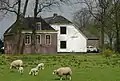 Boerderij van het voerdeeltype met onderkelderd voorhuis met opkamer onder omlopend schilddak en aangebouwd woonhuis met stal onder wolfdak