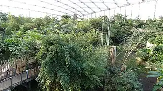Gondwanaland