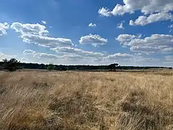 Een rompgemeenschap met pijpenstrootje