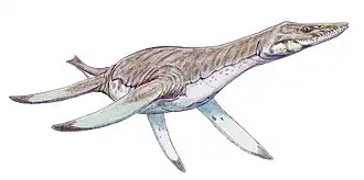 Vectocleidus